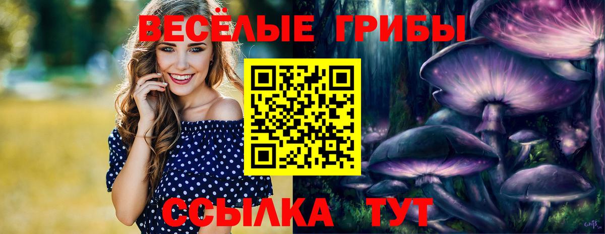 Галлюциногенные грибы Cubensis  Вход с VPN  Ливны 